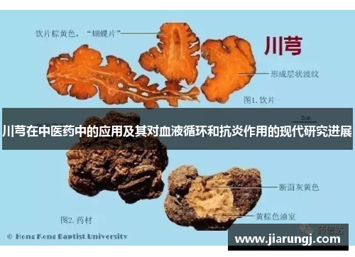 川芎在中医药中的应用及其对血液循环和抗炎作用的现代研究进展