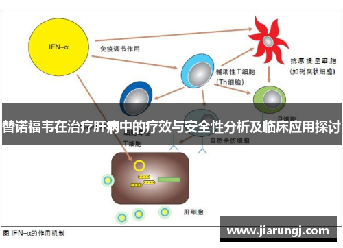 替诺福韦在治疗肝病中的疗效与安全性分析及临床应用探讨