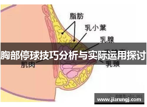 胸部停球技巧分析与实际运用探讨